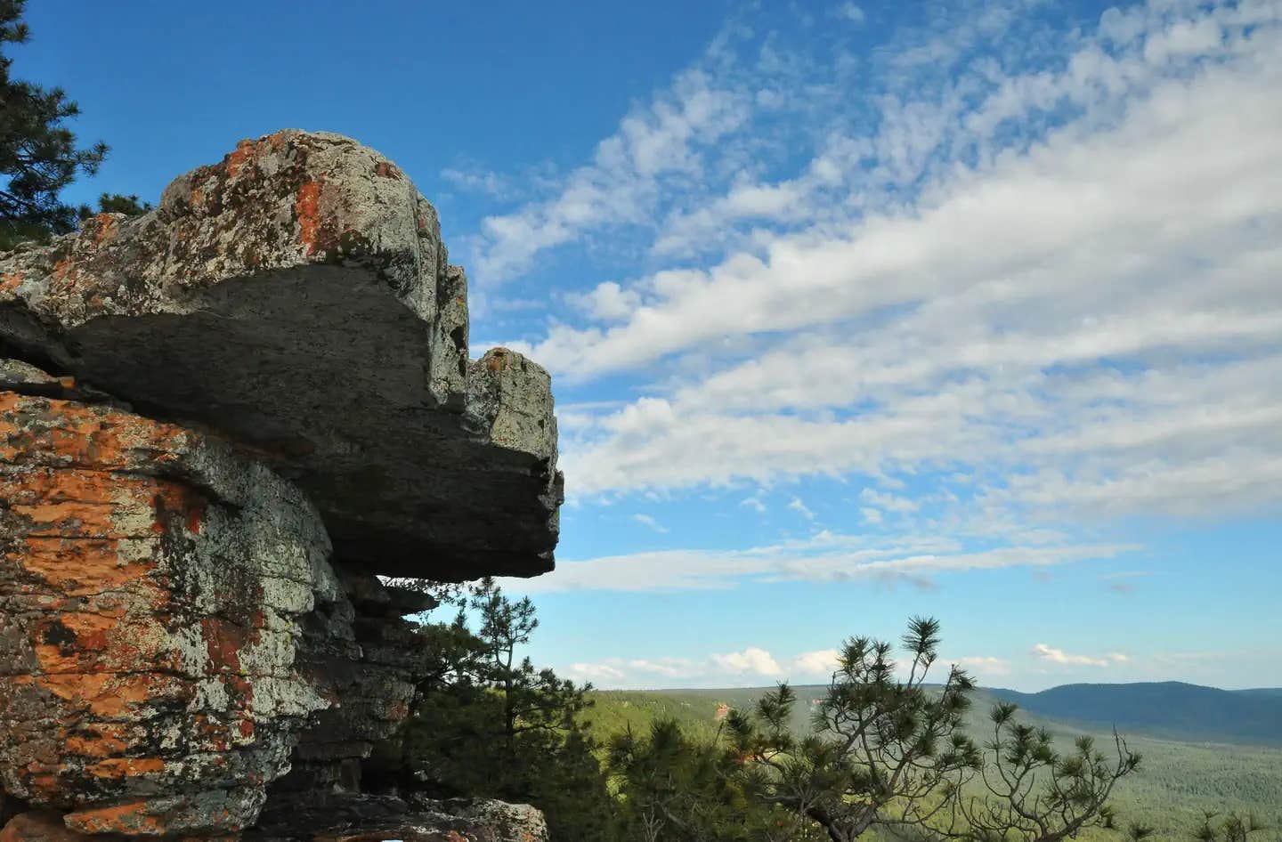 Camper submitted image from Spillway (AZ) - 1