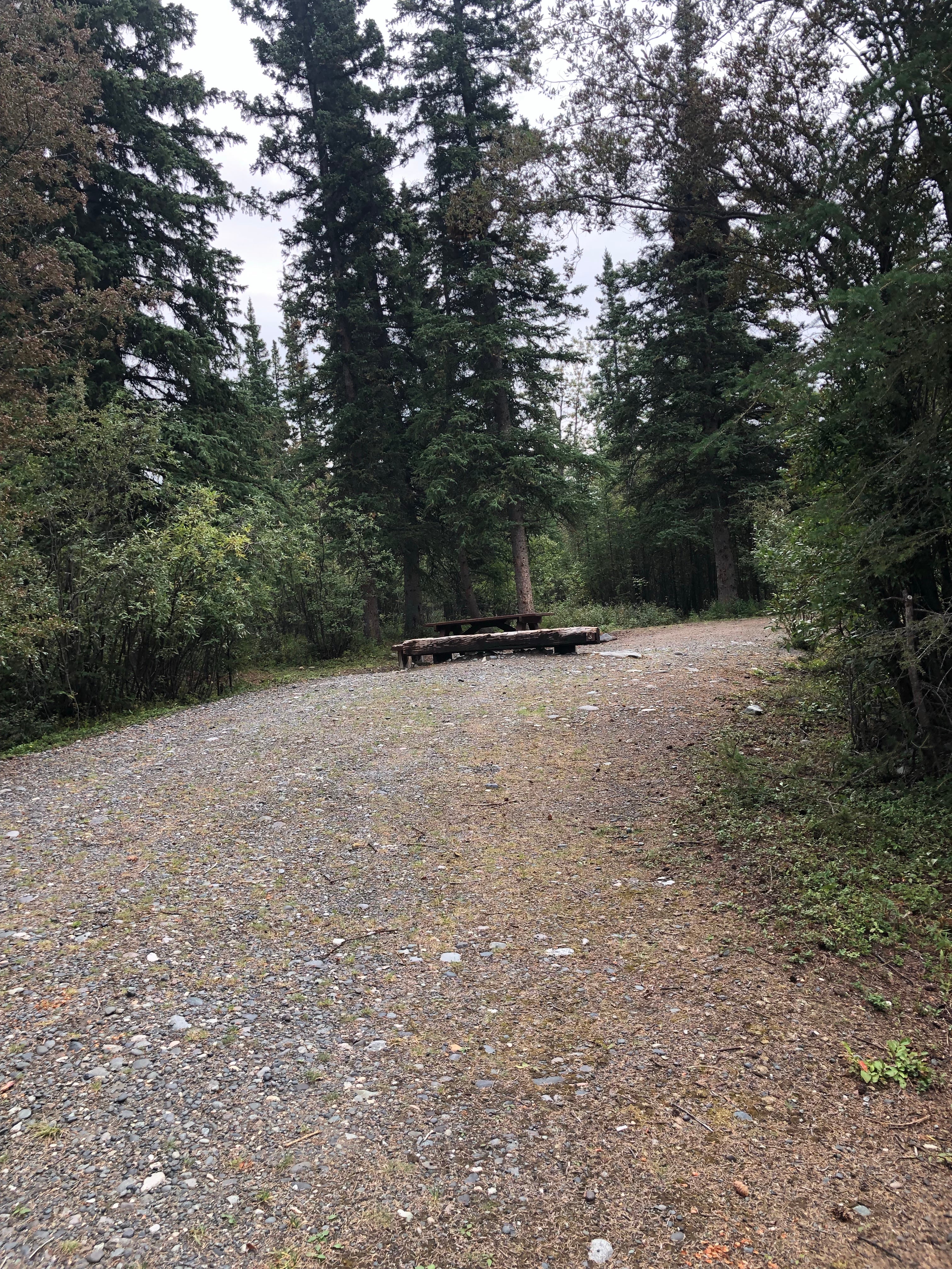 Camper submitted image from Dry Creek State Rec Area - 3