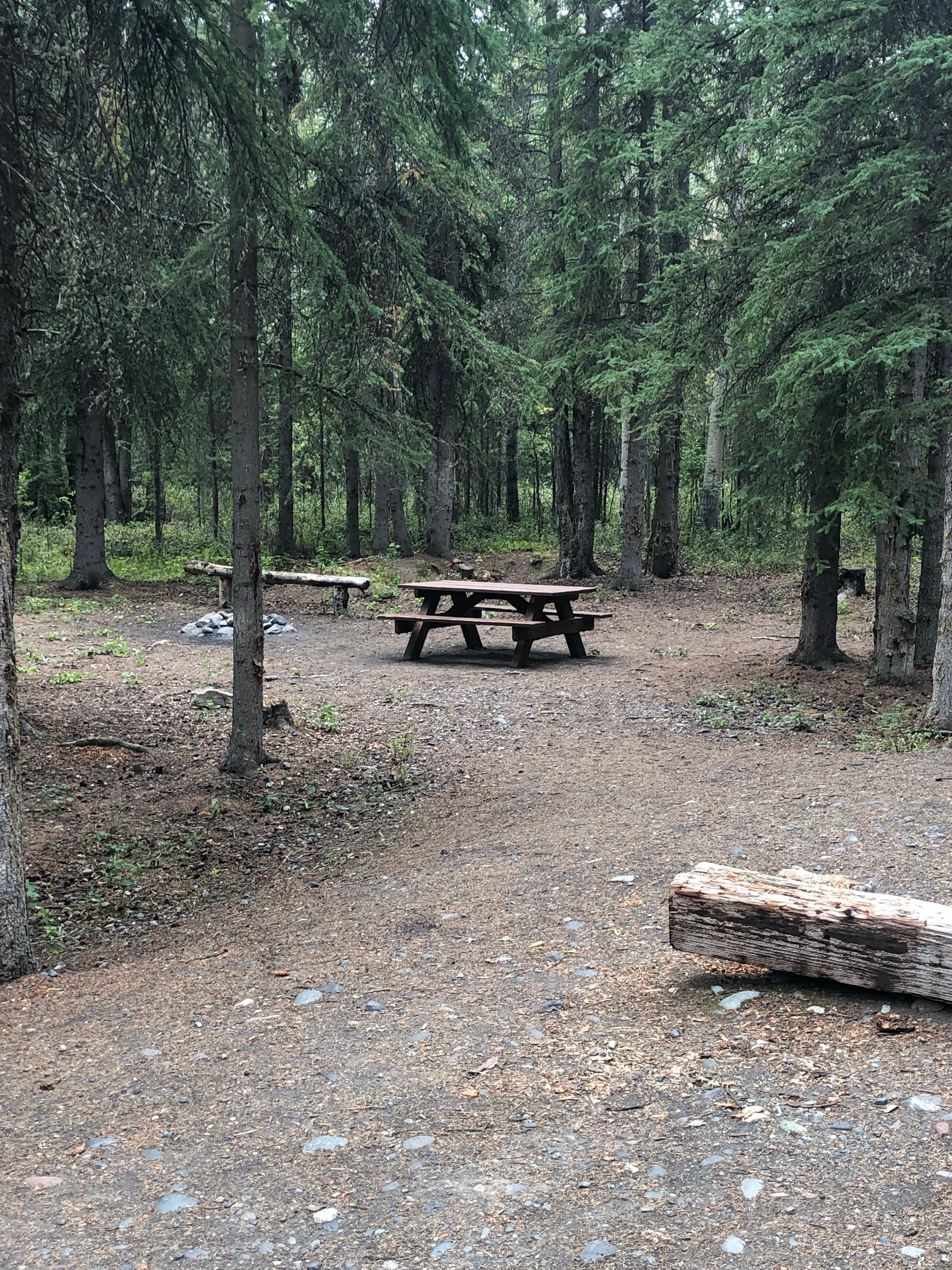 Camper submitted image from Dry Creek State Rec Area - 2