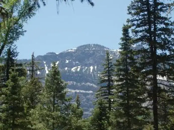 Camper-submitted photo at West Fork Campground near Pagosa Springs, CO