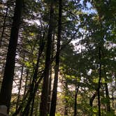 Review photo of Tumalo State Park Campground by Jamie B., August 14, 2019