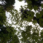 Review photo of Ida Creek Campground by Laura H., September 25, 2016