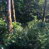 Review photo of Cape Lookout State Park Campground by Jamie B., August 14, 2019