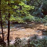 Review photo of Tallulah River Campground — Chattahoochee Oconee National Forest by Sean M., August 14, 2019