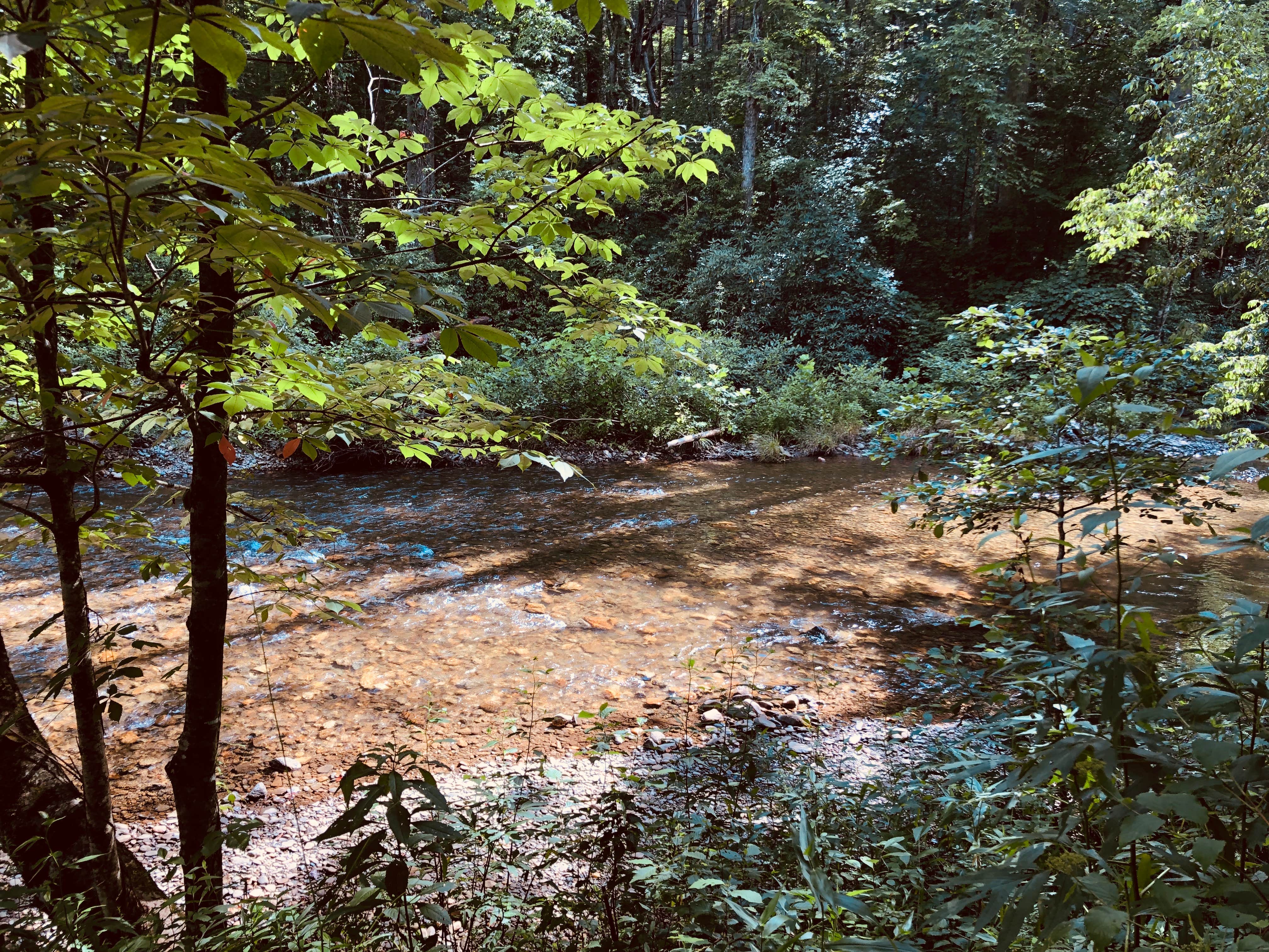 Camper submitted image from Tallulah River Campground — Chattahoochee Oconee National Forest - 3