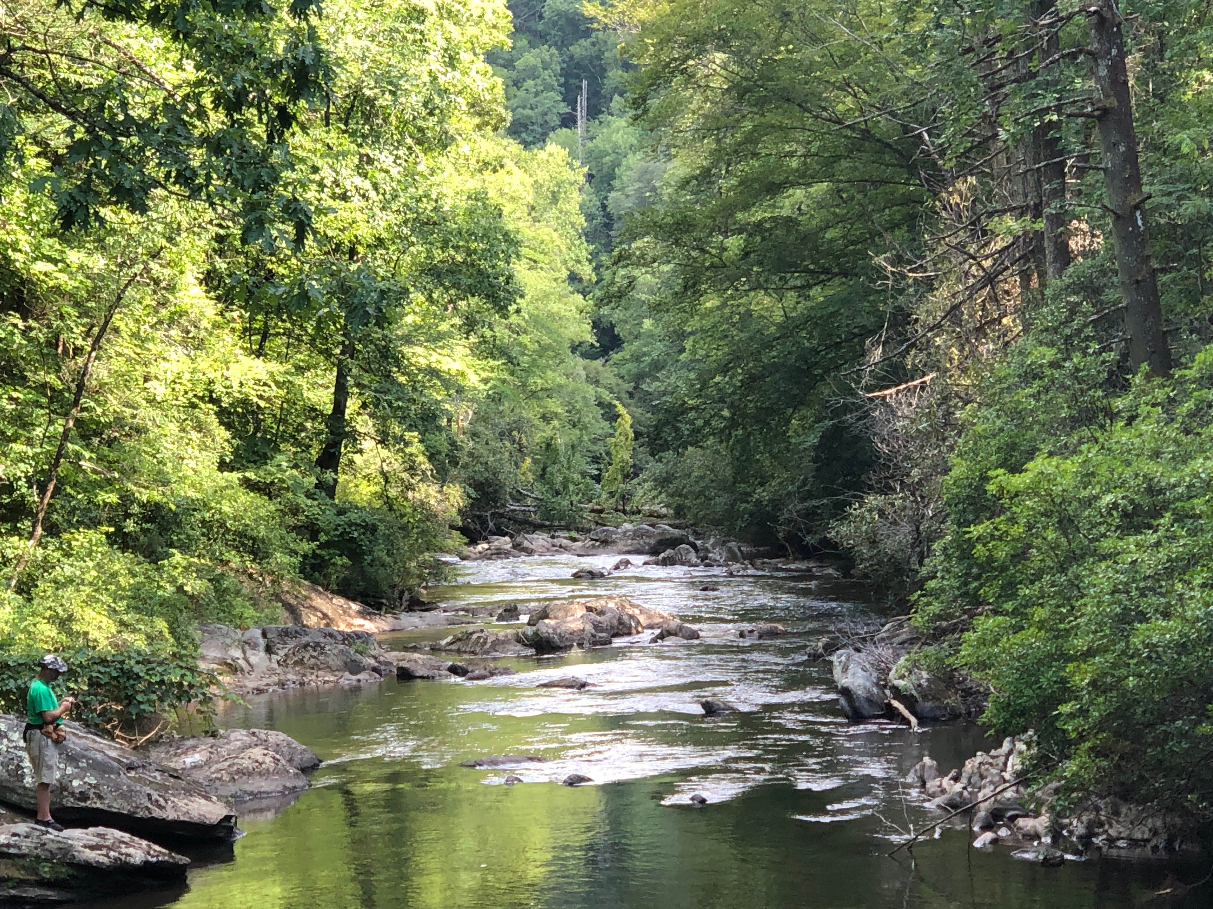 Camper submitted image from Tallulah River Campground — Chattahoochee Oconee National Forest - 4