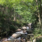 Review photo of Tallulah River Campground — Chattahoochee Oconee National Forest by Sean M., August 14, 2019