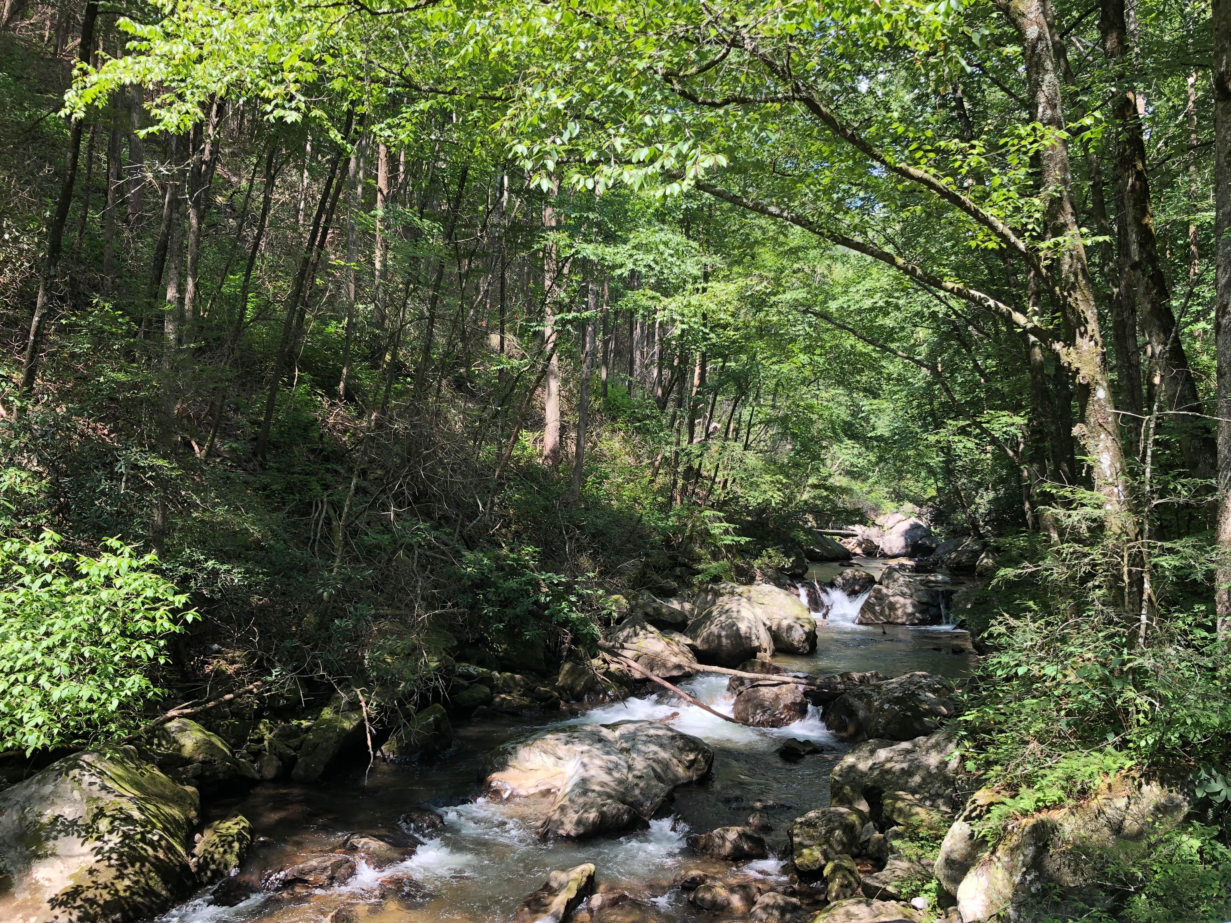 Camper submitted image from Tallulah River Campground — Chattahoochee Oconee National Forest - 2