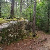 Review photo of Zealand Falls Hut by Jean C., August 14, 2019