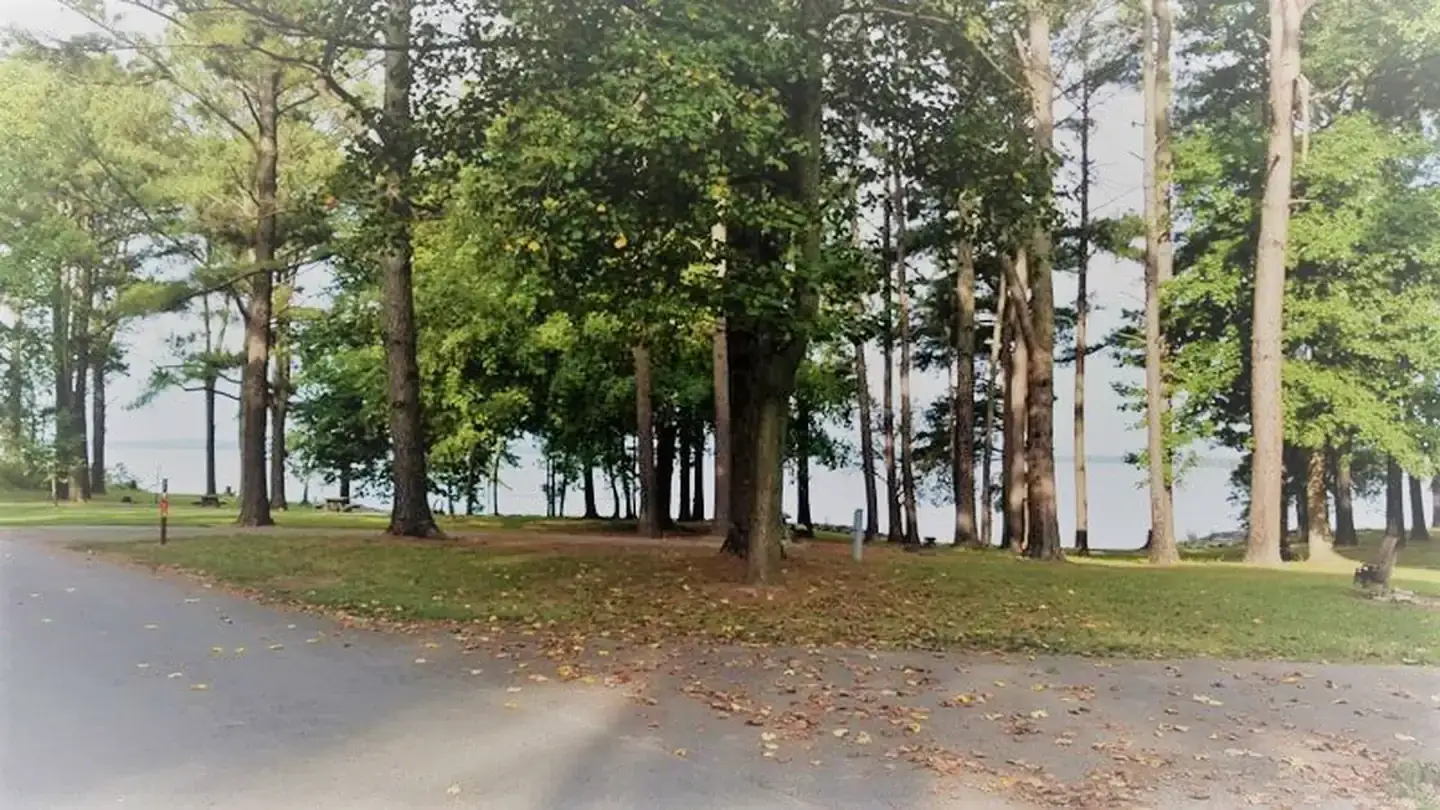 Camper-submitted photo at Gun Creek near Whittington, IL