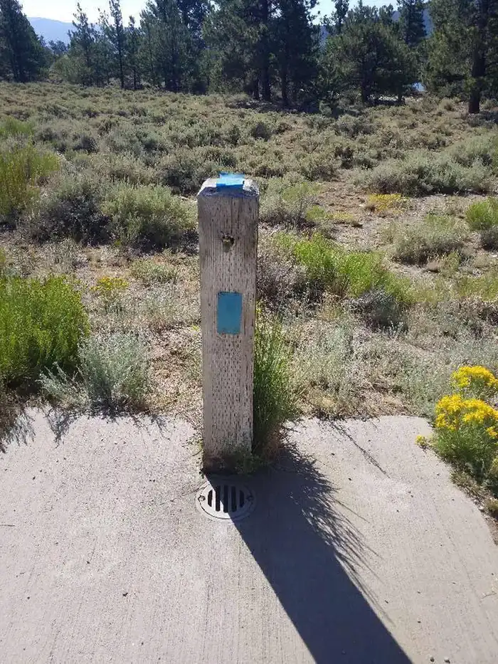 Camper-submitted photo at White Star near Leadville, CO