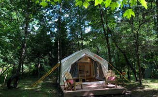 The Dyrt's photo at Nockamixon Forest Camp near Souderton, PA
