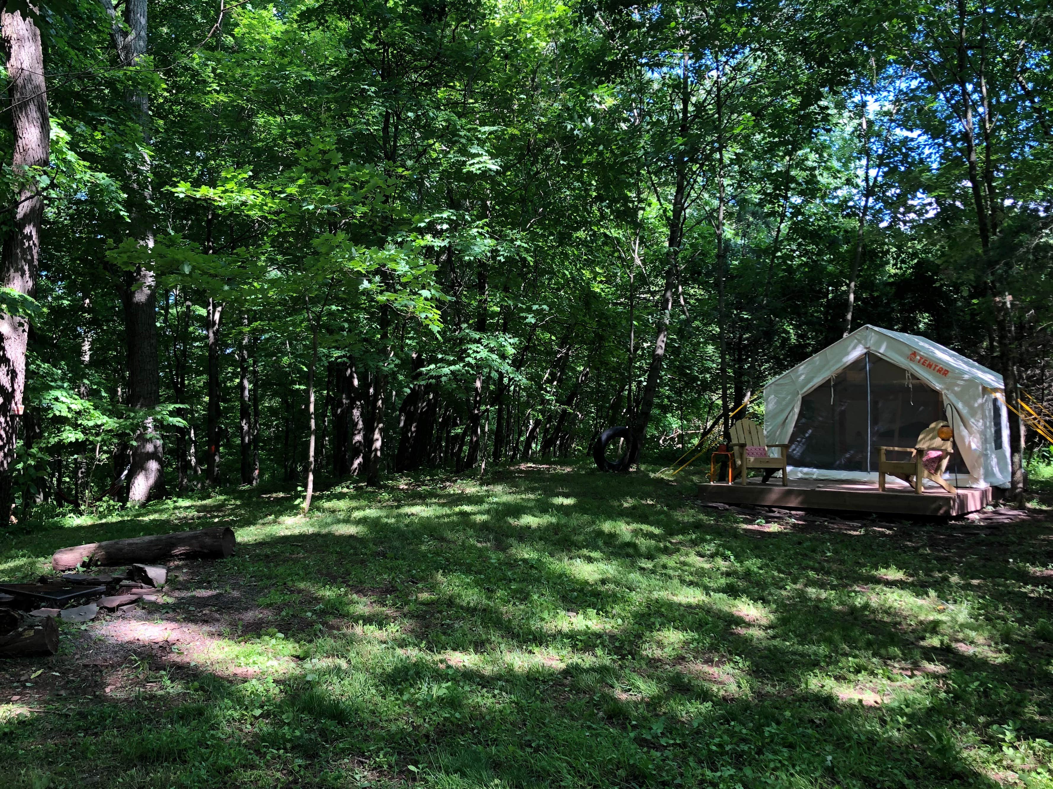 The Dyrt's photo at Nockamixon Forest Camp near Pennington, NJ