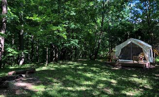 The Dyrt's photo at Nockamixon Forest Camp near Souderton, PA