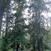 Review photo of Johnny Creek Campground by Laura H., September 25, 2016