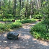 Review photo of Apgar Campground — Glacier National Park by Zane G., August 14, 2019