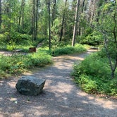 Review photo of Apgar Campground — Glacier National Park by Zane G., August 14, 2019
