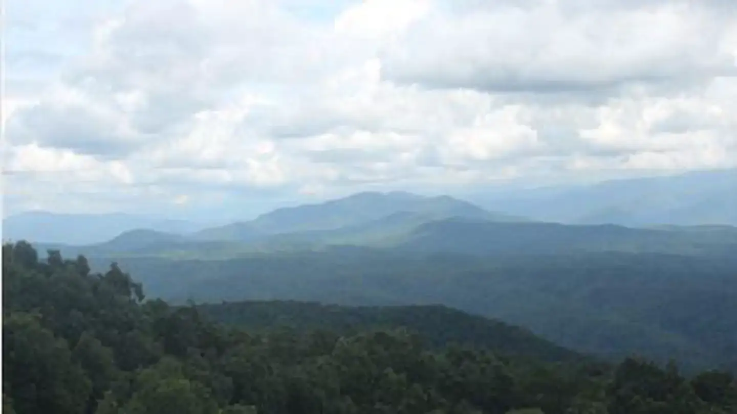 Camping near Abrams Creek Campground — Great Smoky Mountains National Park: Look Rock Campground — Great Smoky Mountains National Park, Maryville, Tennessee