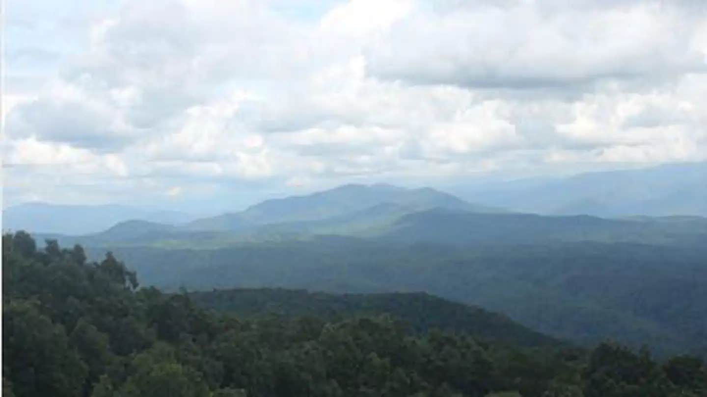 Camper submitted image from Look Rock Campground — Great Smoky Mountains National Park - 1