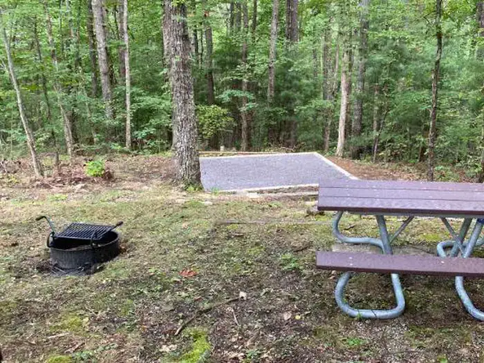 Camper-submitted photo at Look Rock Campground — Great Smoky Mountains National Park near Maryville, TN