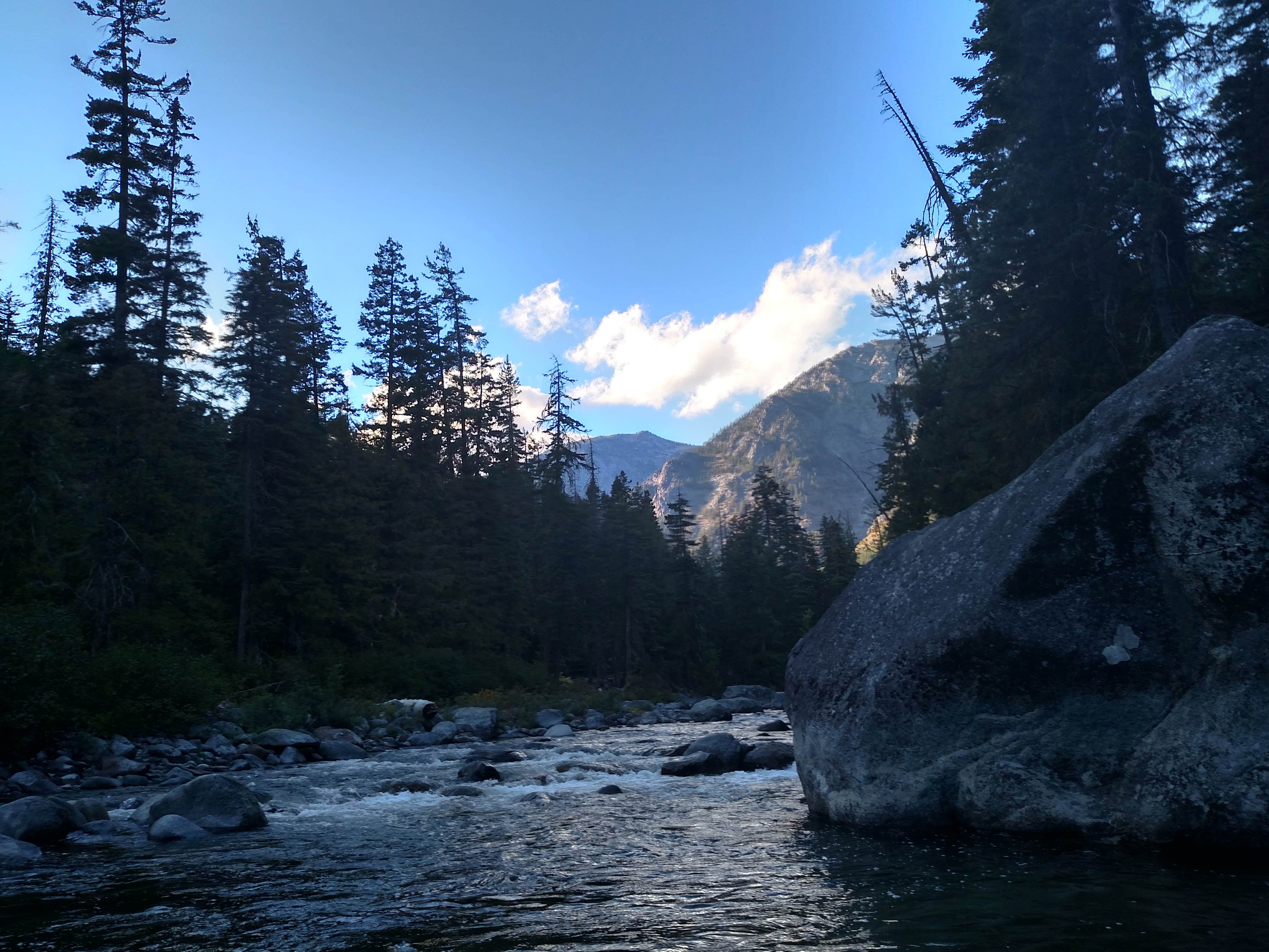 Camper submitted image from Johnny Creek Campground - 5