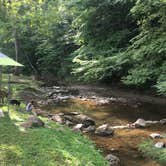 Review photo of Misty Mountain Camp Resort by Paul B., August 14, 2019