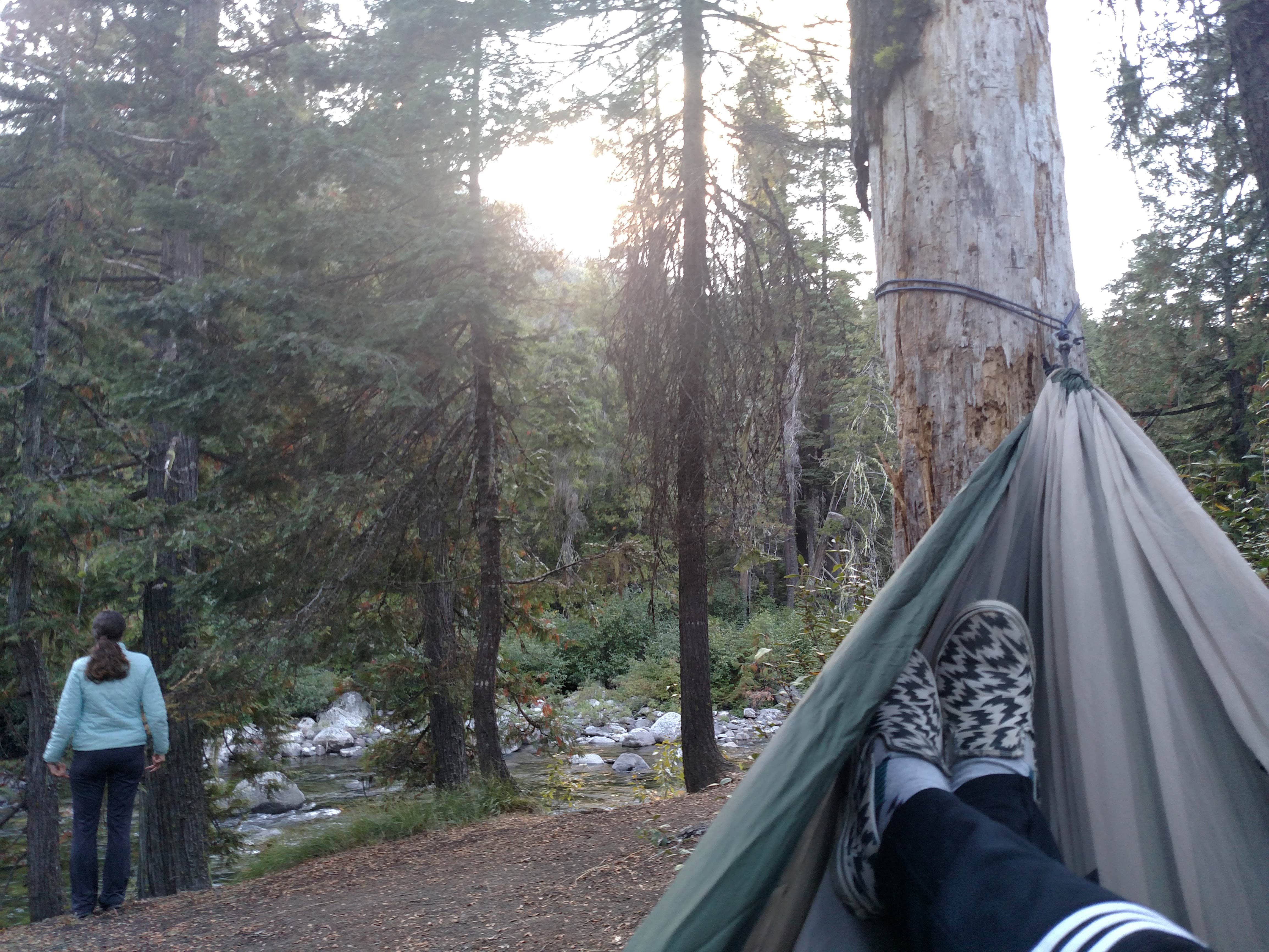 Camper submitted image from Johnny Creek Campground - 3
