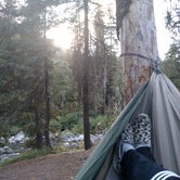Review photo of Johnny Creek Campground by Laura H., September 25, 2016