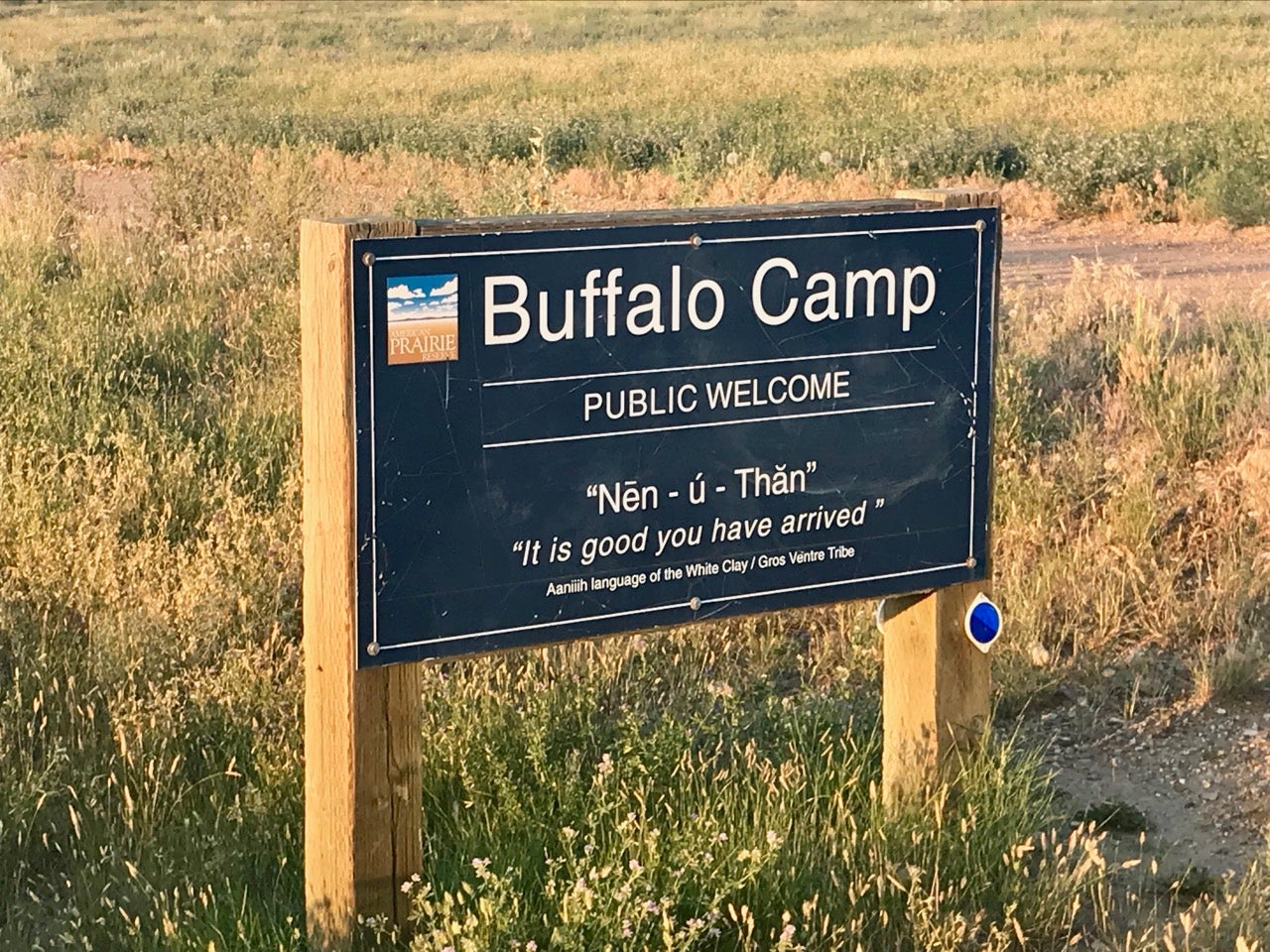 Buffalo Camp