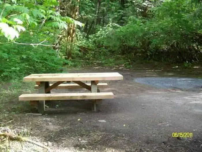 Camping near Cougar Crossing Campground — Willamette National Forest: Hard Rock Campground, Mckenzie Bridge, Oregon