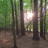 Review photo of Lake Norman State Park by Clint L., August 14, 2019