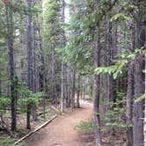 Review photo of Yogi Bear's Jellystone Park at Estes Park by Chad K., September 25, 2016