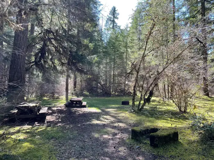 Camper-submitted photo at Sand Prairie Campground near Oakridge, OR
