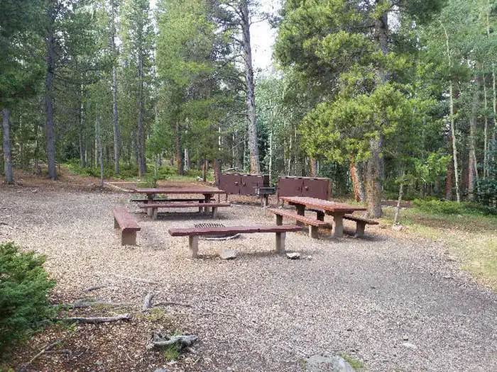 Camper submitted image from Pickle Gulch - 1