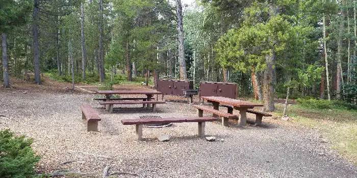 Camper submitted image from Pickle Gulch