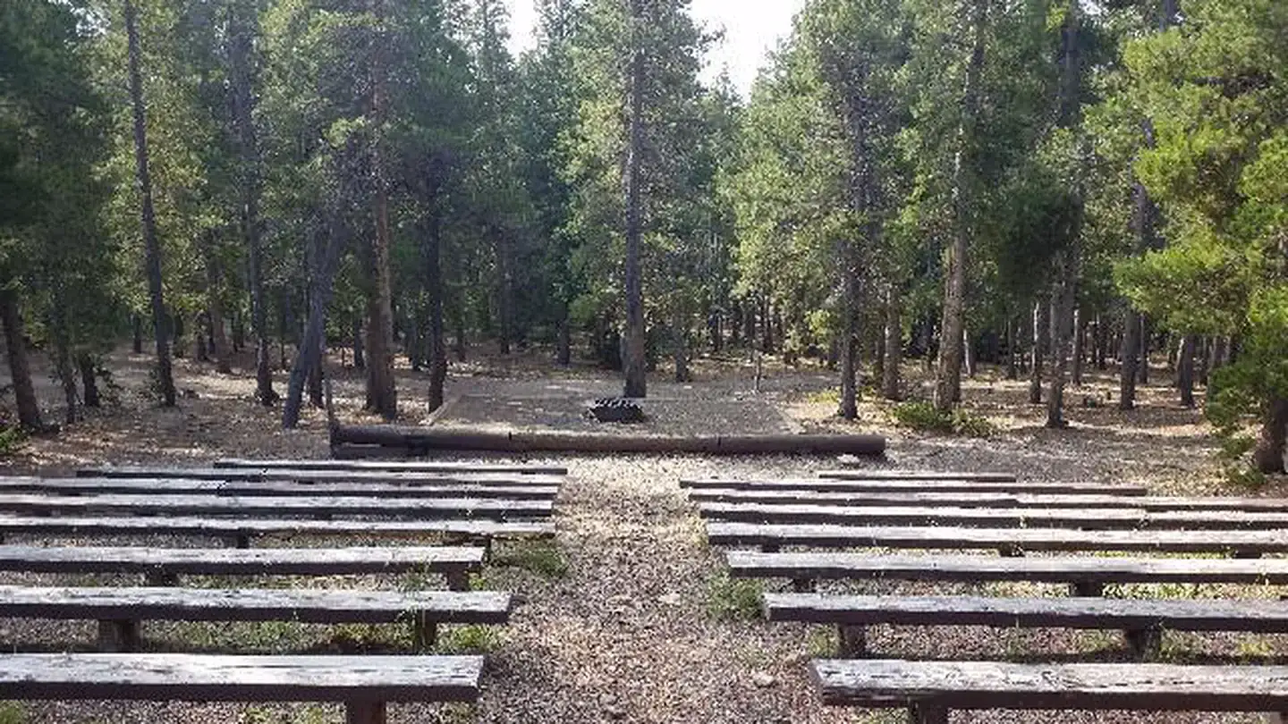 Camper-submitted photo at Pickle Gulch near Idaho Springs, CO