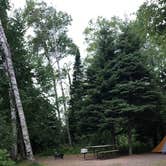 Review photo of Temperance River State Park Campground by Allison  K., August 14, 2019