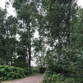 Review photo of Temperance River State Park Campground by Allison  K., August 14, 2019