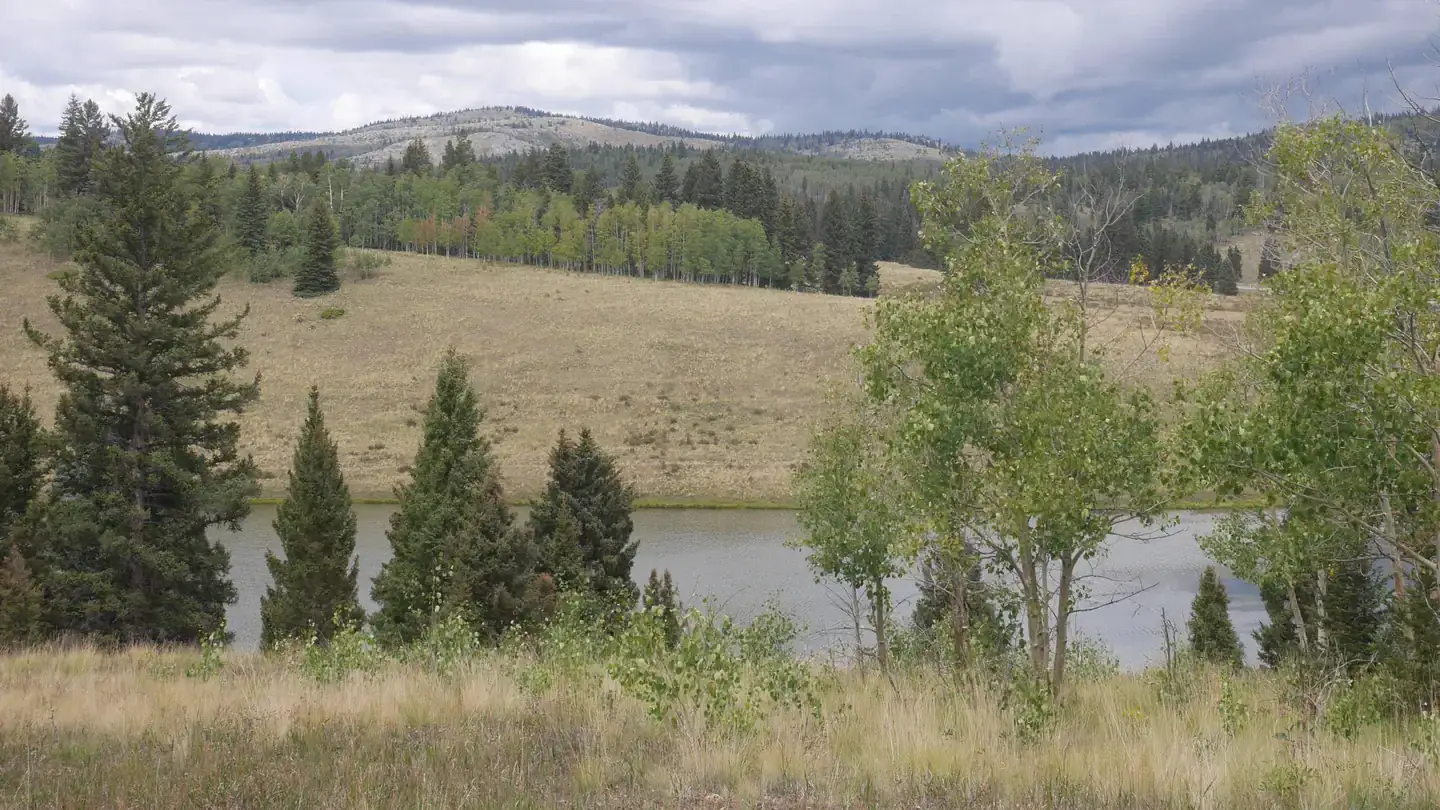 Camper-submitted photo at Hopewell Lake Campground near Arroyo Seco, NM
