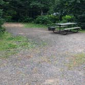 Review photo of Temperance River State Park Campground by Allison  K., August 14, 2019