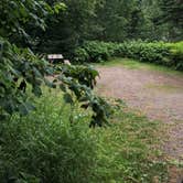 Review photo of Temperance River State Park Campground by Allison  K., August 14, 2019