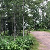 Review photo of Temperance River State Park Campground by Allison  K., August 14, 2019