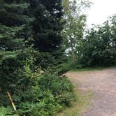 Review photo of Temperance River State Park Campground by Allison  K., August 14, 2019