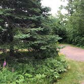 Review photo of Temperance River State Park Campground by Allison  K., August 14, 2019