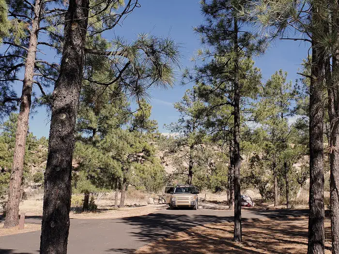 Camper-submitted photo at Juniper Family Campground — Bandelier National Monument near White Rock, NM