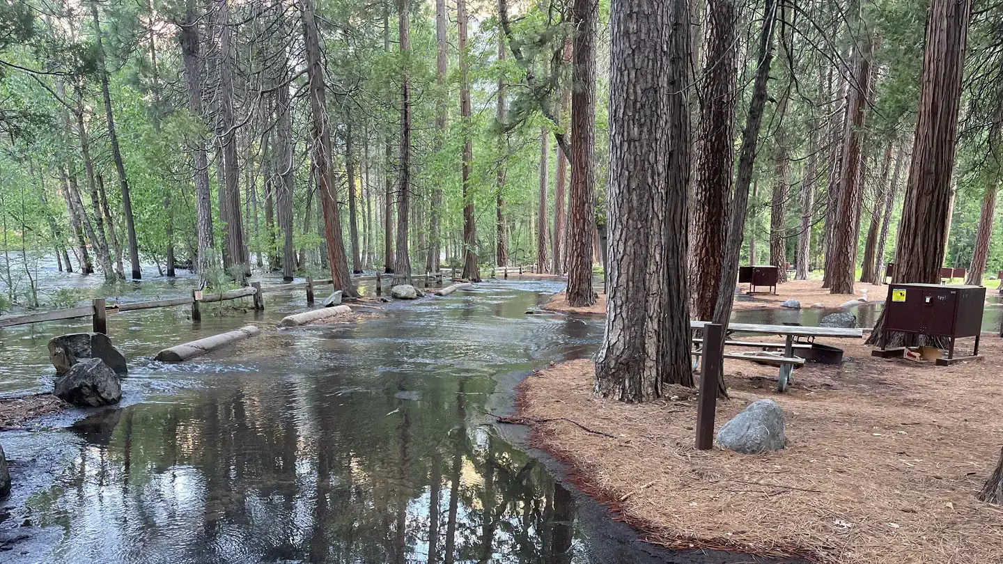 Camper-submitted photo at North Pines Campground — Yosemite National Park near Wawona, CA