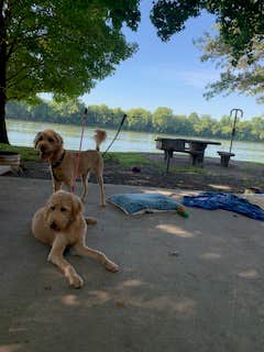 Camper-submitted photo at Lock A near Burns, TN