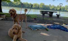 Ines M.'s photo of camping with pets at Lock A near Clarksville, TN