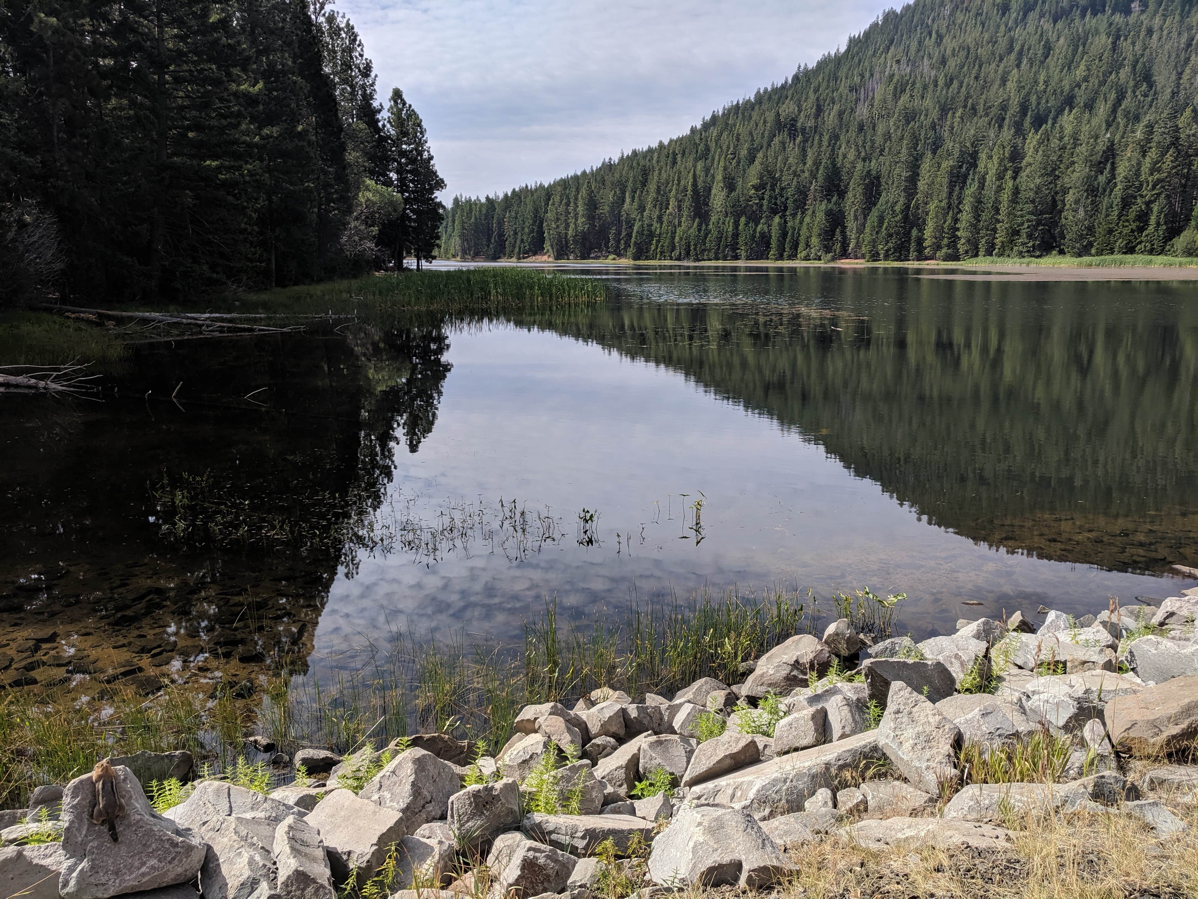 Juanita Lake Campground The Dyrt