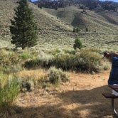 Review photo of Lundy Canyon Campground by Caity S., August 14, 2019